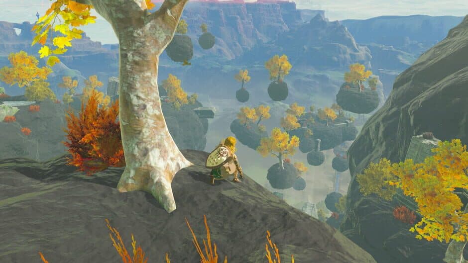 Скриншот 2 из The Legend of Zelda: Breath of the Wild - Islands Expansion