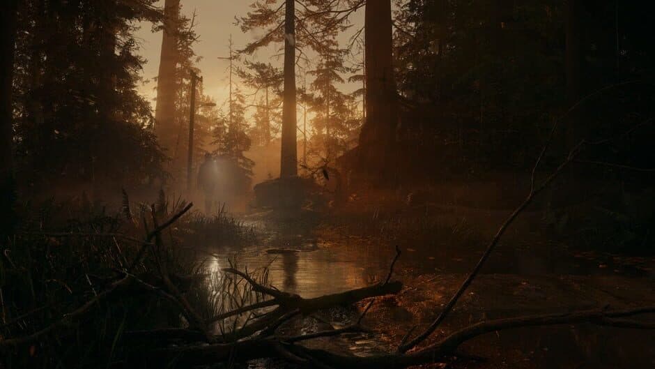 Скриншот 1 из Alan Wake II