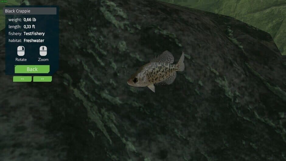Скриншот 6 из Ultimate Fishing Simulator: Aquariums DLC