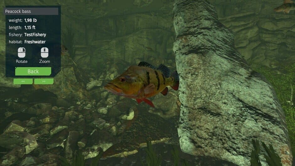 Скриншот 1 из Ultimate Fishing Simulator: Aquariums DLC