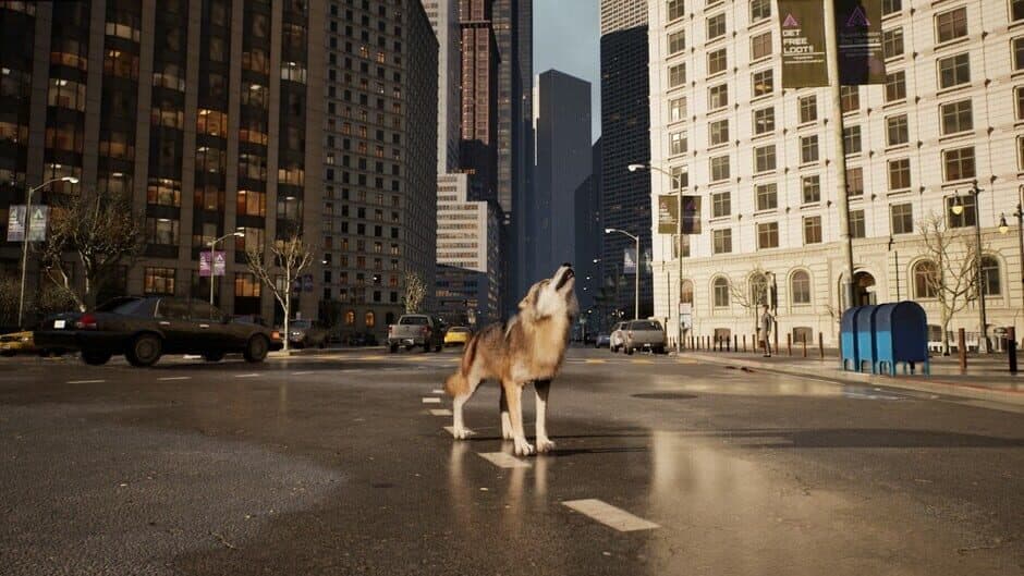 Скриншот 2 из Wolf in the City