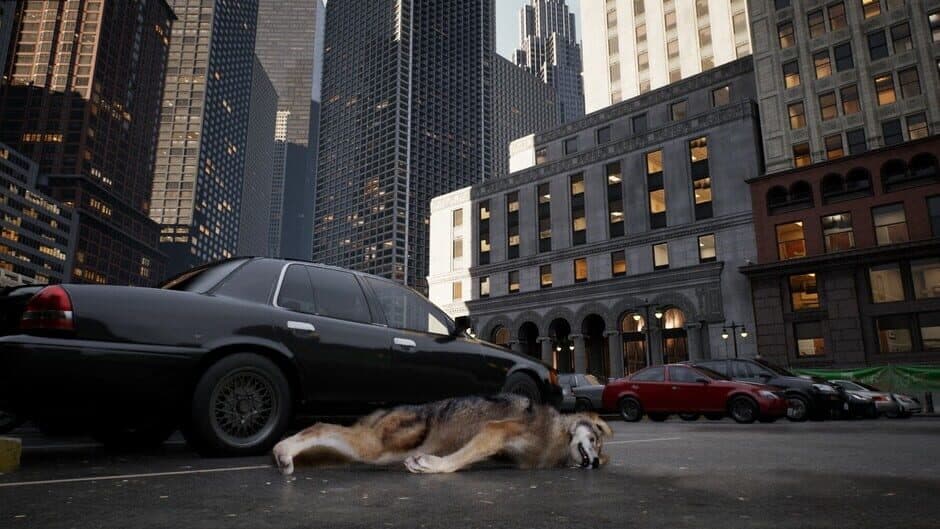 Скриншот 3 из Wolf in the City