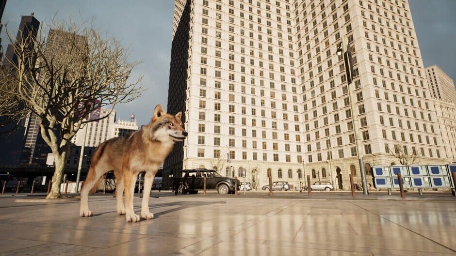 Скриншот 7 из Wolf in the City