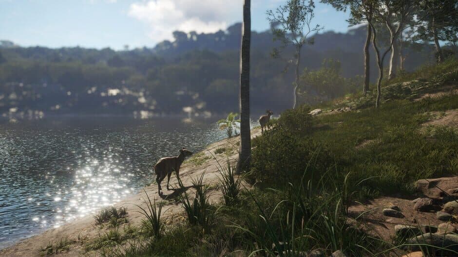 Скриншот 5 из theHunter: Call of the Wild - Emerald Coast Australia