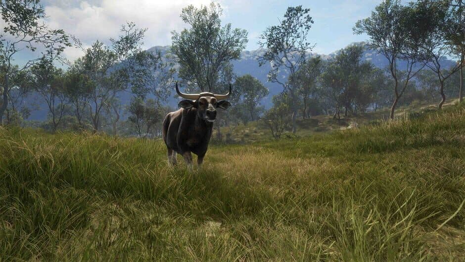 Скриншот 7 из theHunter: Call of the Wild - Emerald Coast Australia