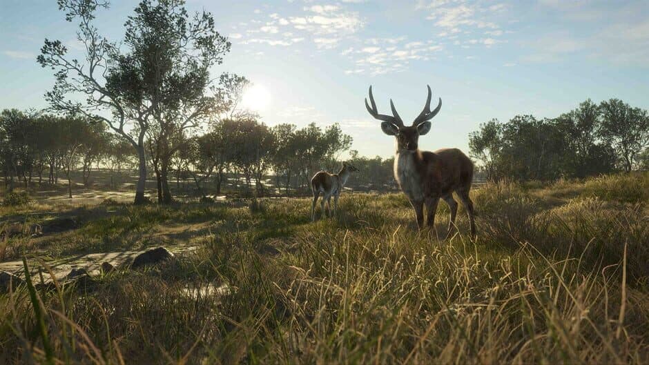 Скриншот 11 из theHunter: Call of the Wild - Emerald Coast Australia