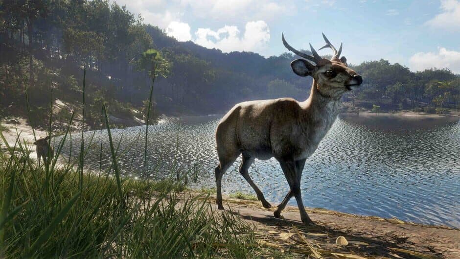 Скриншот 12 из theHunter: Call of the Wild - Emerald Coast Australia