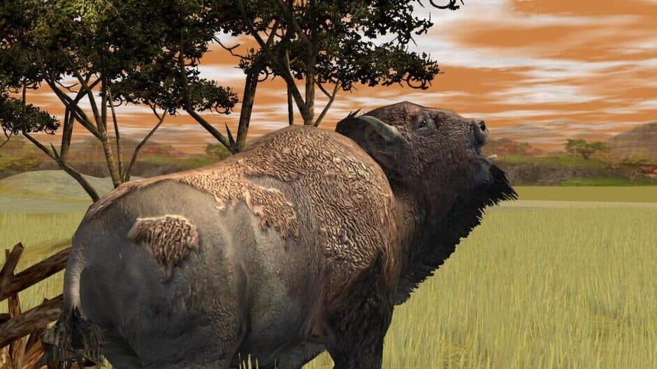 Скриншот 12 из Wildlife Park 2: Crazy Zoo