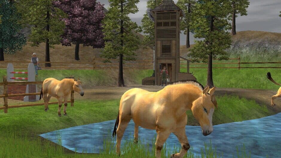 Скриншот 9 из Wildlife Park 2: Horses