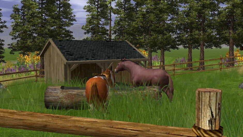 Скриншот 2 из Wildlife Park 2: Horses