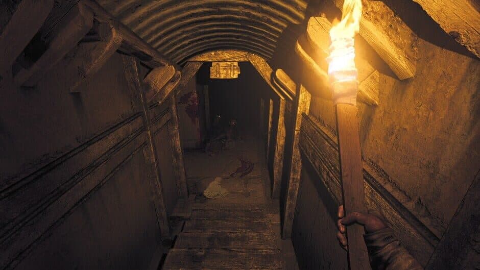Скриншот 3 из Amnesia: The Bunker