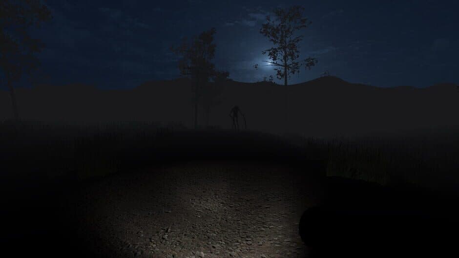Скриншот 6 из Forest Horror
