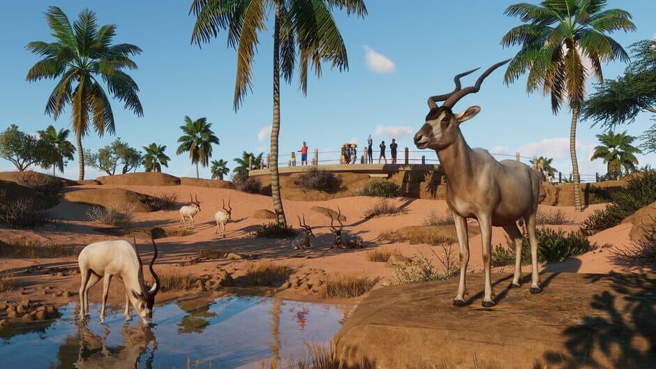 Скриншот 5 из Planet Zoo: Arid Animal Pack