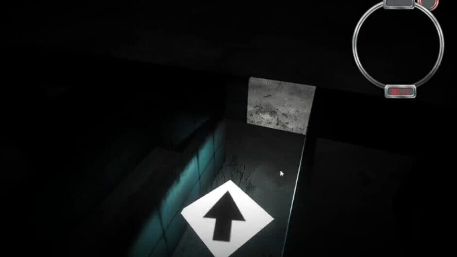 Скриншот 2 из The Maze