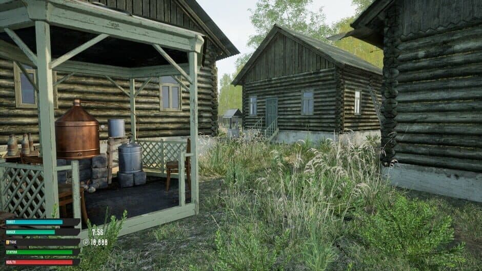 Скриншот 2 из Russian Village Simulator