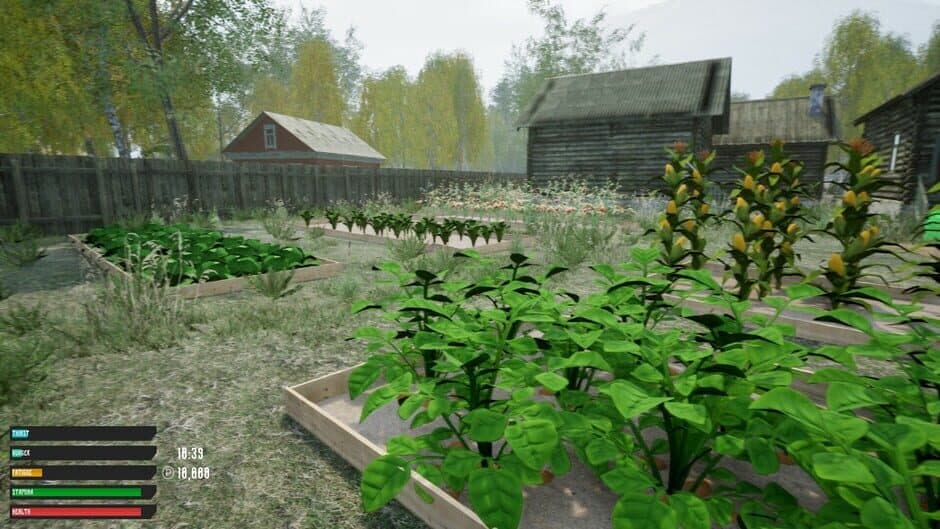 Скриншот 6 из Russian Village Simulator
