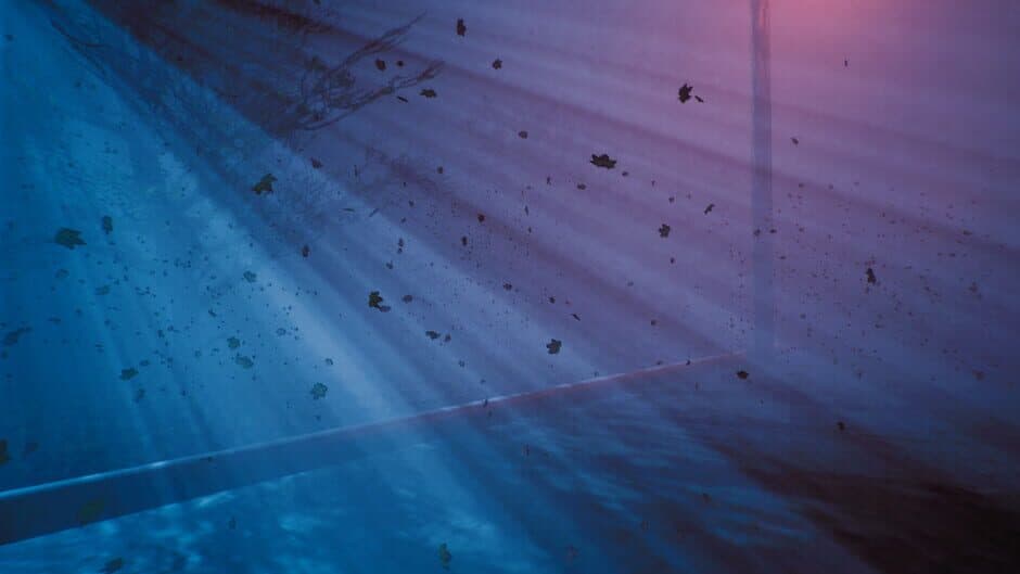 Скриншот 8 из The Dark Tones: Loss