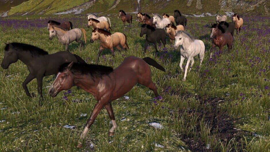 Скриншот 2 из Horse Life: Find Horses in Open World, Survive in Wild Nature as a Foal or Pony