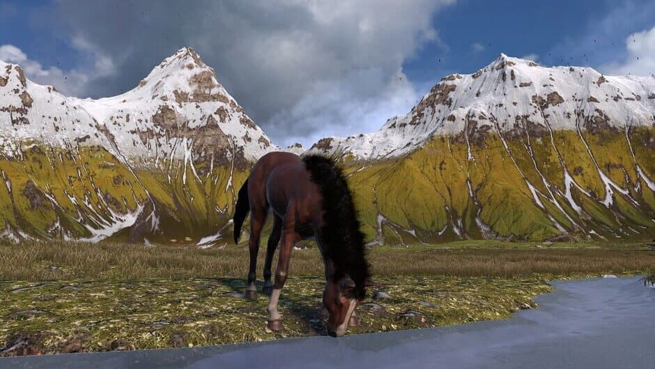 Скриншот 3 из Horse Life: Find Horses in Open World, Survive in Wild Nature as a Foal or Pony
