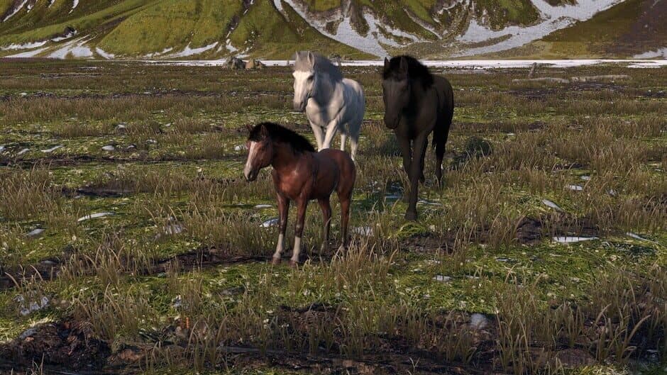 Скриншот 4 из Horse Life: Find Horses in Open World, Survive in Wild Nature as a Foal or Pony