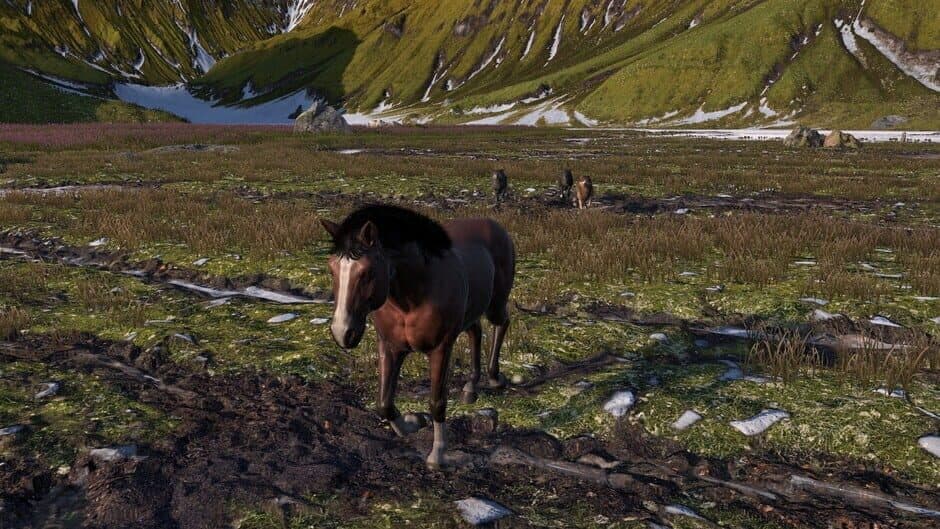 Скриншот 6 из Horse Life: Find Horses in Open World, Survive in Wild Nature as a Foal or Pony