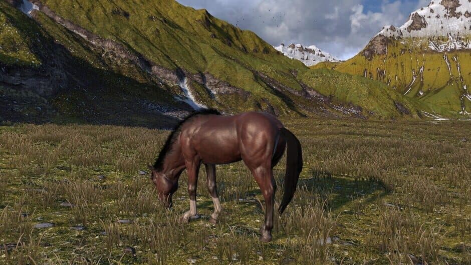 Скриншот 9 из Horse Life: Find Horses in Open World, Survive in Wild Nature as a Foal or Pony