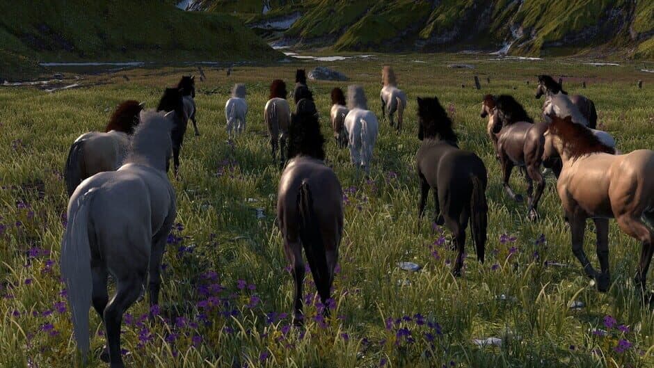 Скриншот 11 из Horse Life: Find Horses in Open World, Survive in Wild Nature as a Foal or Pony