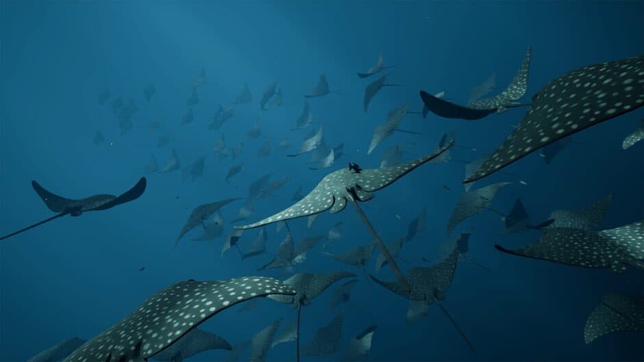 Скриншот 3 из Whale Fall