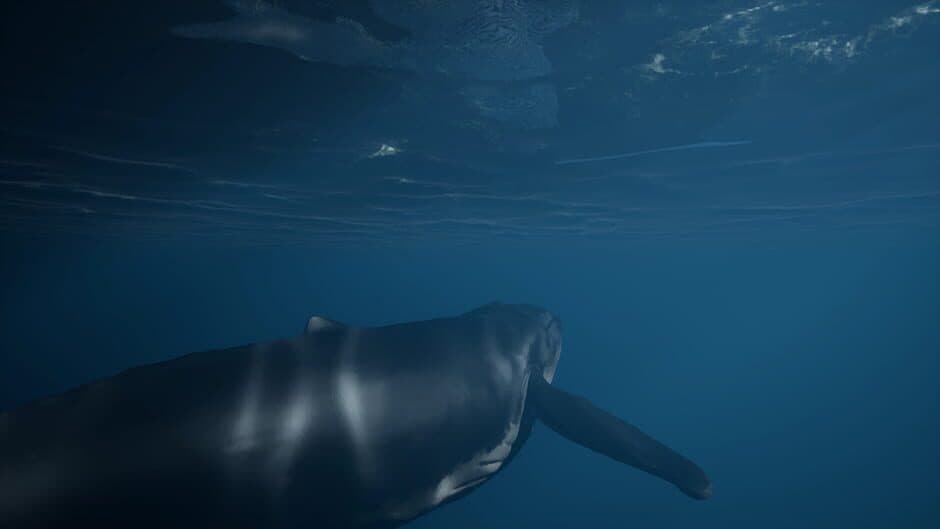 Скриншот 5 из Whale Fall