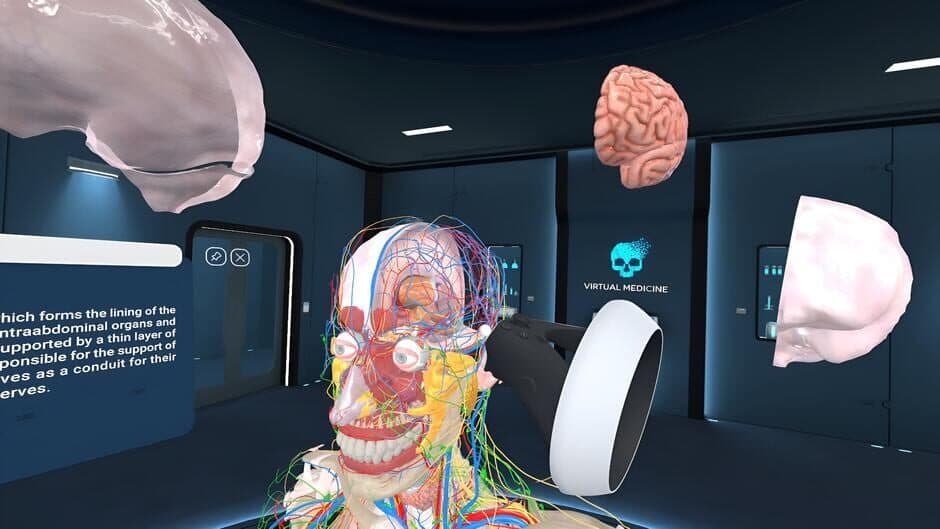 Скриншот 2 из Human Anatomy VR