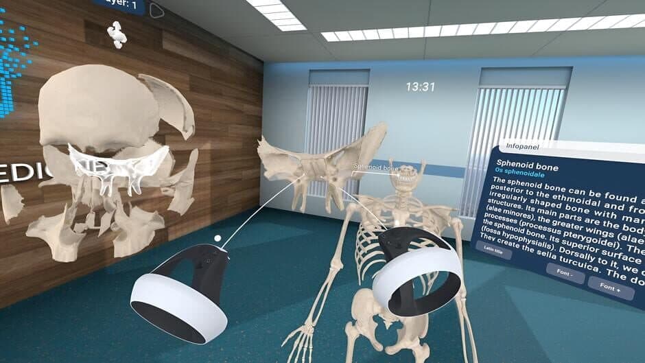 Скриншот 5 из Human Anatomy VR