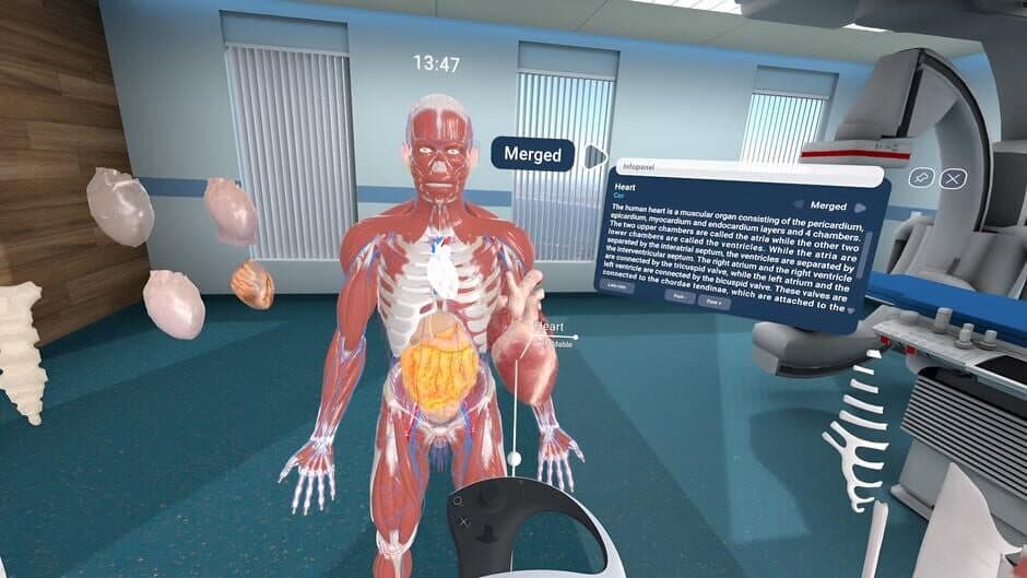 Скриншот 7 из Human Anatomy VR