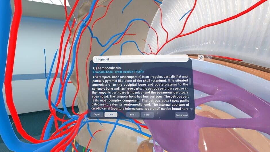 Скриншот 8 из Human Anatomy VR
