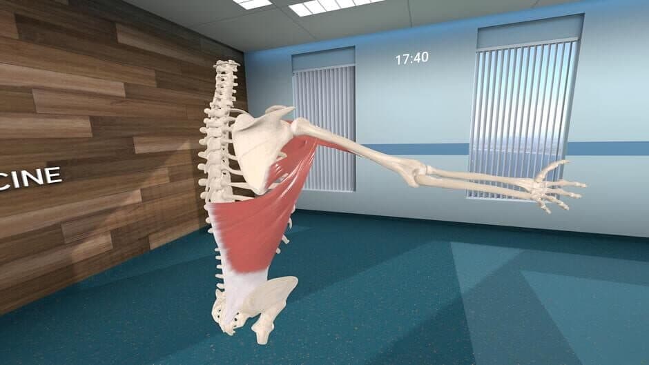 Скриншот 9 из Human Anatomy VR