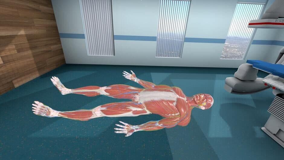 Скриншот 10 из Human Anatomy VR