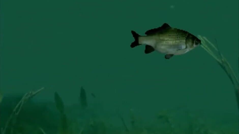 Скриншот 1 из Reel Fishing