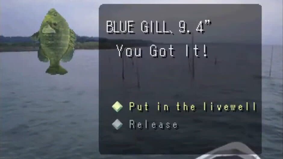 Скриншот 3 из Reel Fishing