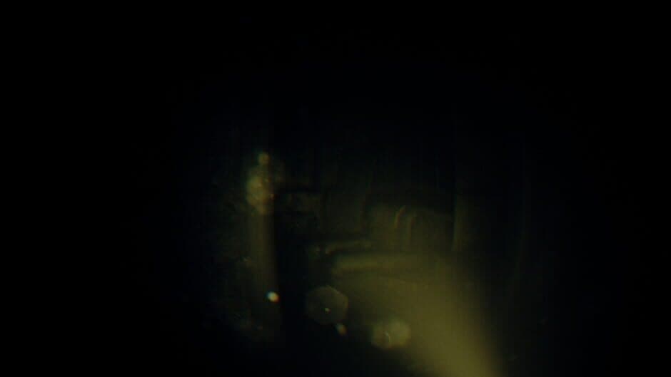 Скриншот 1 из Rec: Beyond The Lens
