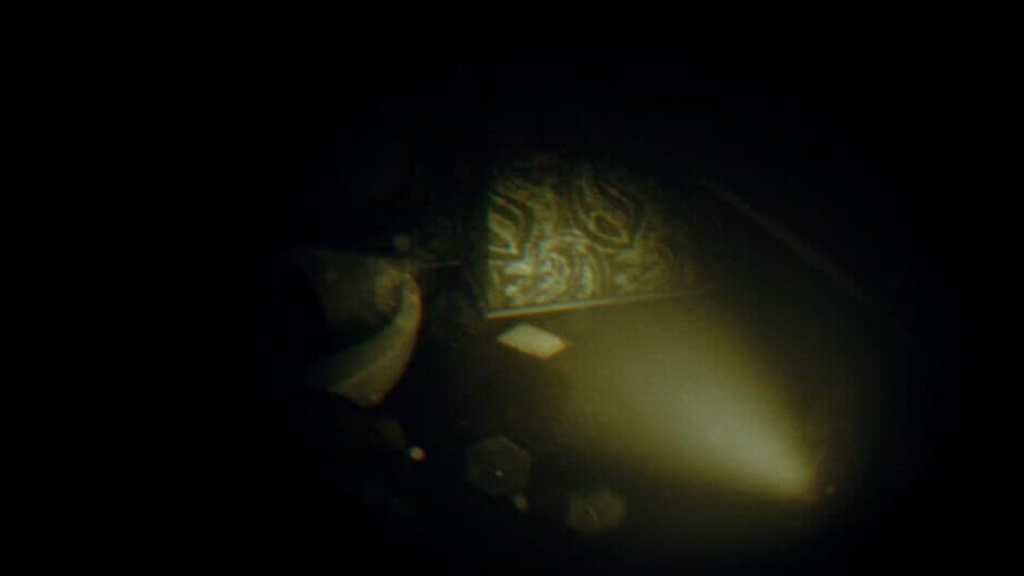 Скриншот 7 из Rec: Beyond The Lens