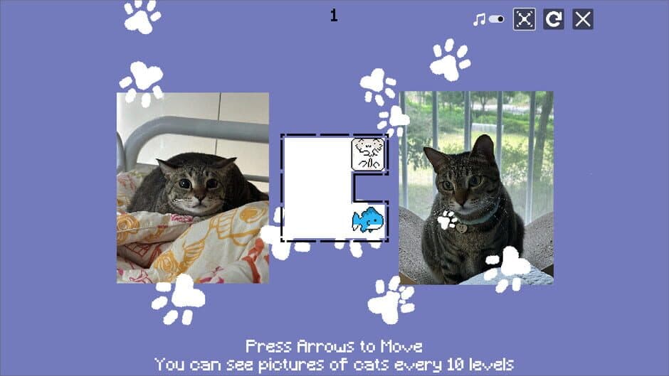 Скриншот 1 из JustWatchMyCat