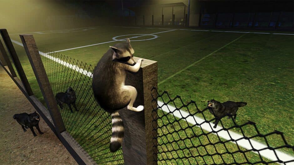 Скриншот 5 из Raccoon Adventure