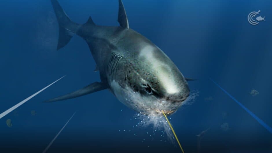 Скриншот 3 из Ace Fishing: Crew