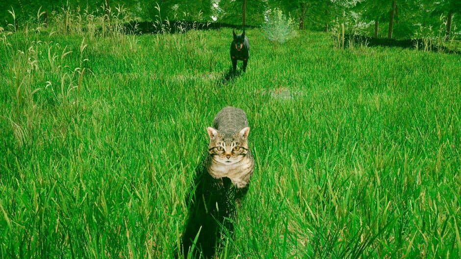 Скриншот 4 из Cats Game