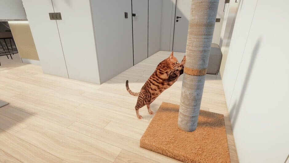 Скриншот 1 из Cats Game