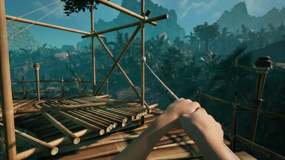 Скриншот 2 из Canopy