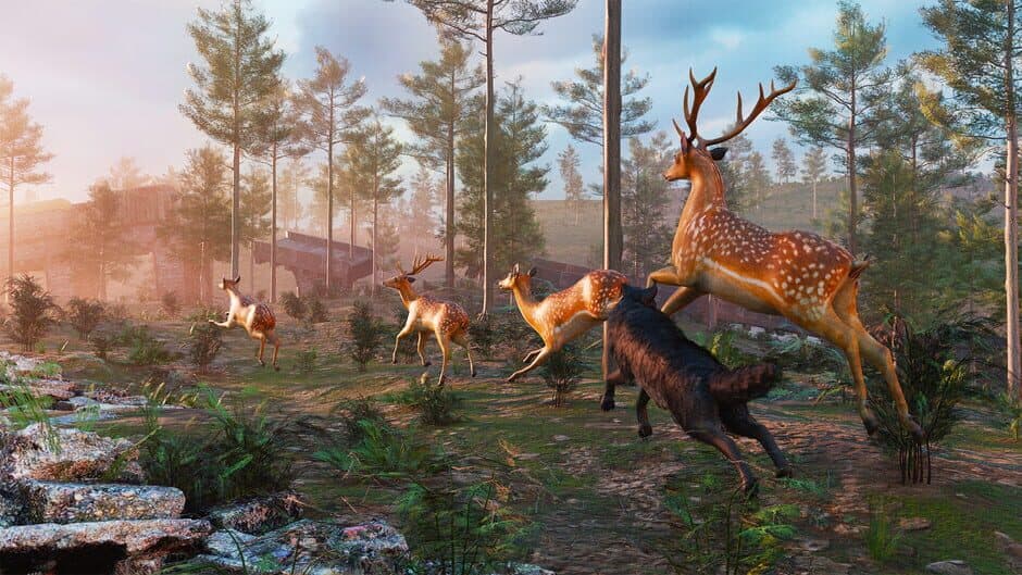 Скриншот 3 из Wolf Simulator