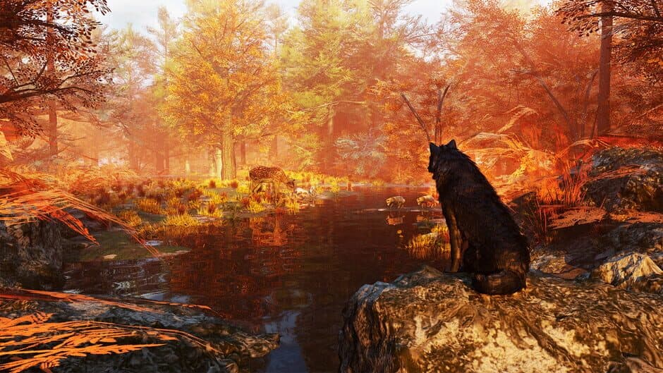 Скриншот 5 из Wolf Simulator