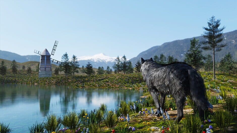 Скриншот 9 из Wolf Simulator