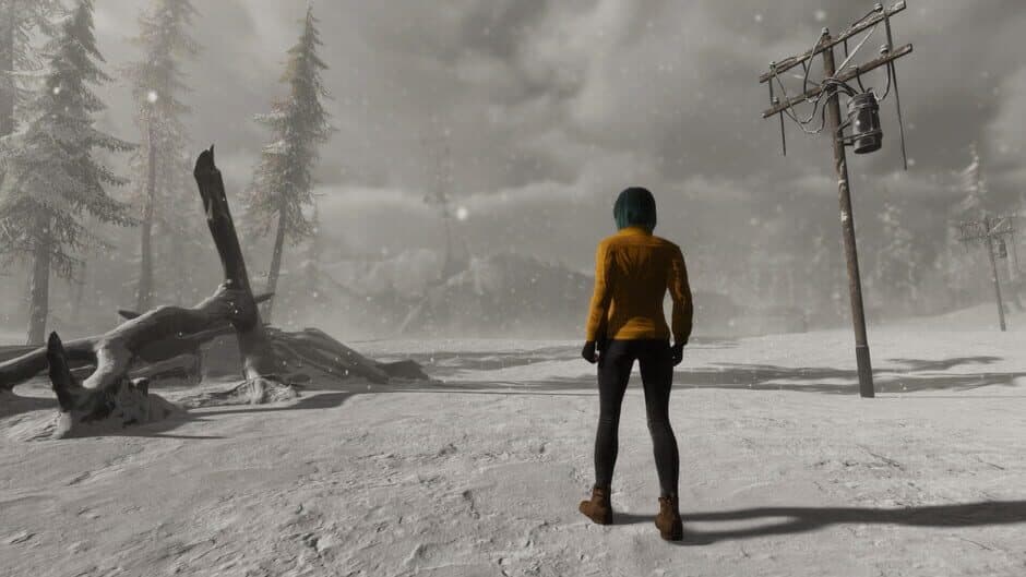 Скриншот 4 из Under the Snow