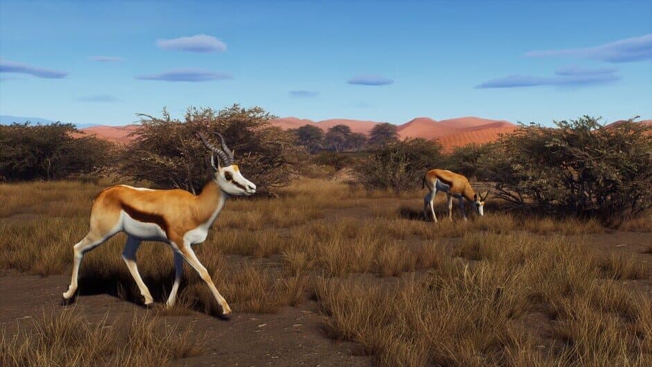 Скриншот 1 из Way of the Hunter: Tikamoon Plains